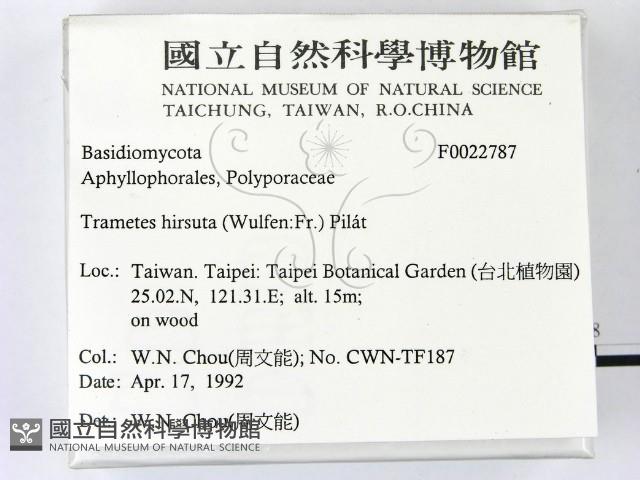 登錄號:F0022787藏品圖，第2張