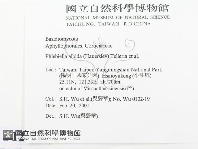 登錄號:F0012787藏品圖，第2張