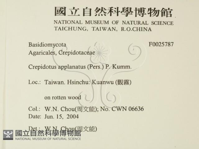 登錄號:F0025787藏品圖，第2張