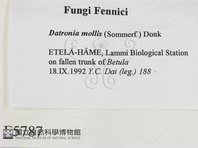 登錄號:F0005787藏品圖，第2張