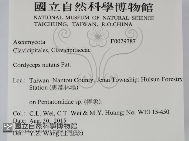 登錄號:F0029787藏品圖，第2張