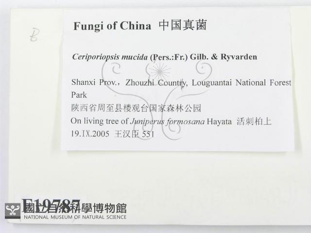 登錄號:F0019787藏品圖，第2張