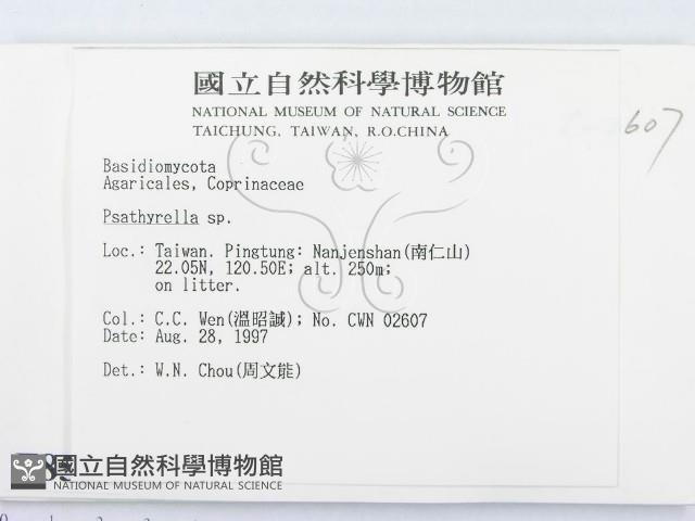 登錄號:F0008587藏品圖，第2張