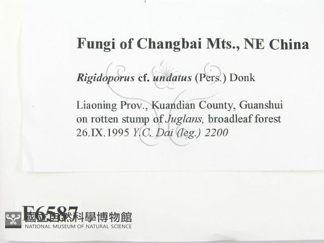 登錄號:F0006587藏品圖，第2張