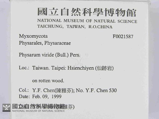 登錄號:F0021587藏品圖，第2張