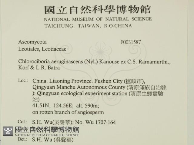 登錄號:F0031587藏品圖，第2張
