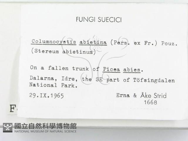 登錄號:F0004587藏品圖，第2張