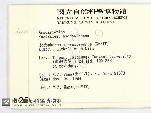 登錄號:F0002587藏品圖，第2張