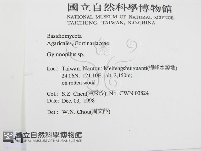登錄號:F0012587藏品圖，第2張