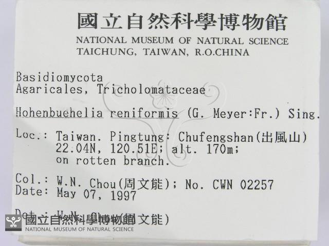 登錄號:F0007587藏品圖，第2張