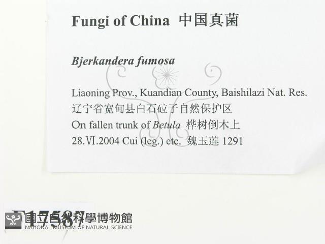 登錄號:F0017587藏品圖，第2張
