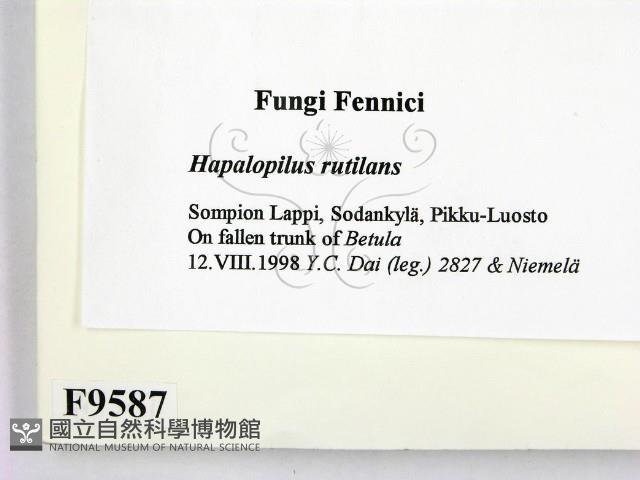 登錄號:F0009587藏品圖，第2張