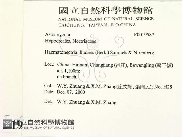登錄號:F0019587藏品圖，第2張