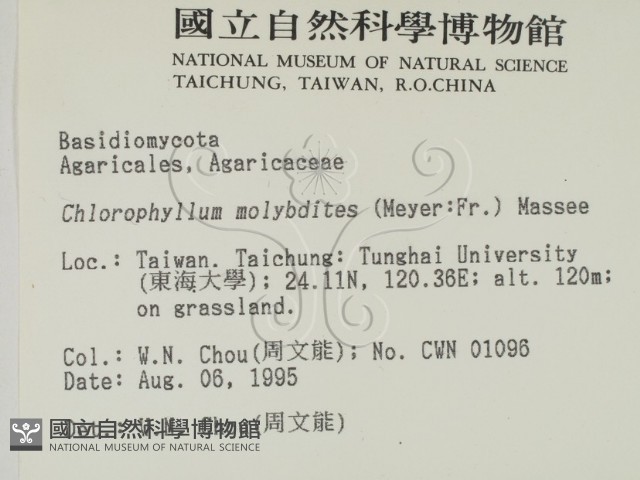 登錄號:F0003587藏品圖，第2張