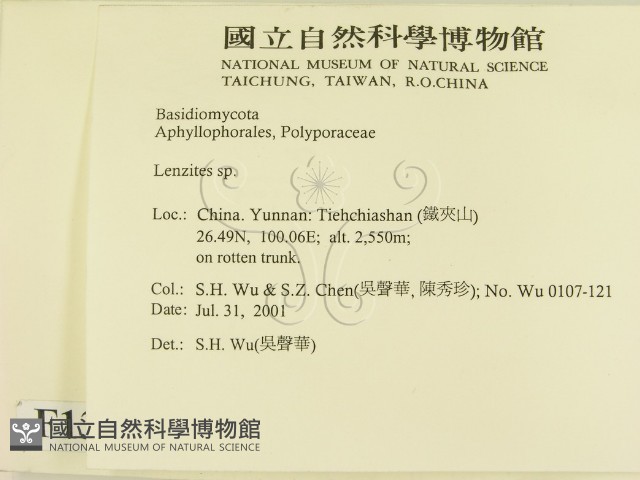 登錄號:F0013587藏品圖，第2張
