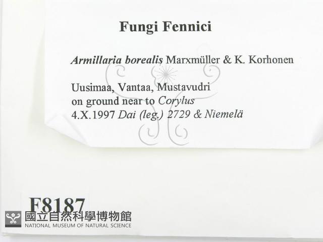 登錄號:F0008187藏品圖，第2張