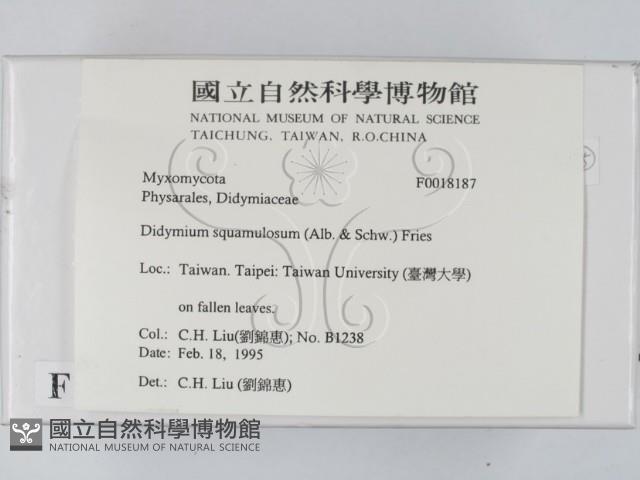 登錄號:F0018187藏品圖，第2張