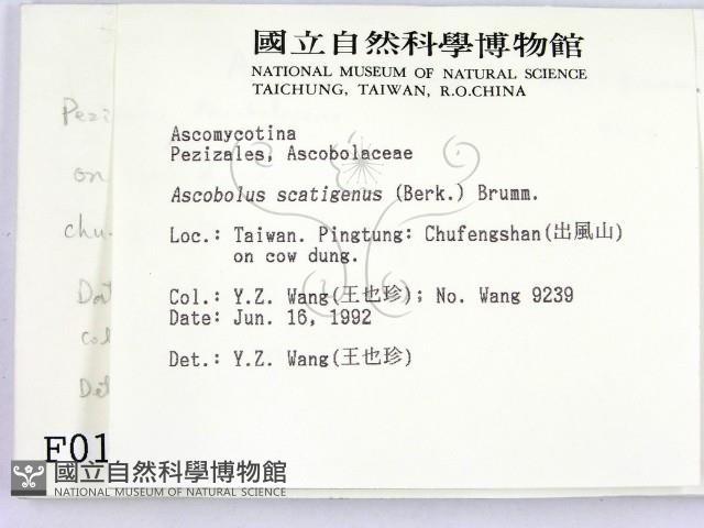 登錄號:F0000187藏品圖，第2張