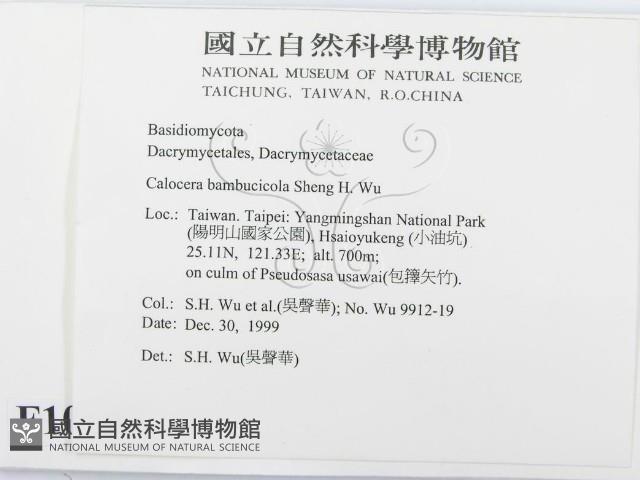 登錄號:F0010187藏品圖，第2張