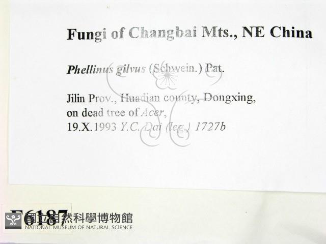 登錄號:F0006187藏品圖，第2張