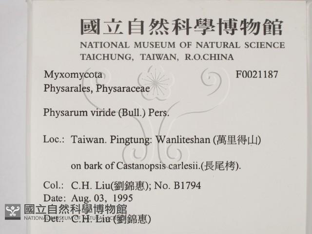 登錄號:F0021187藏品圖，第2張
