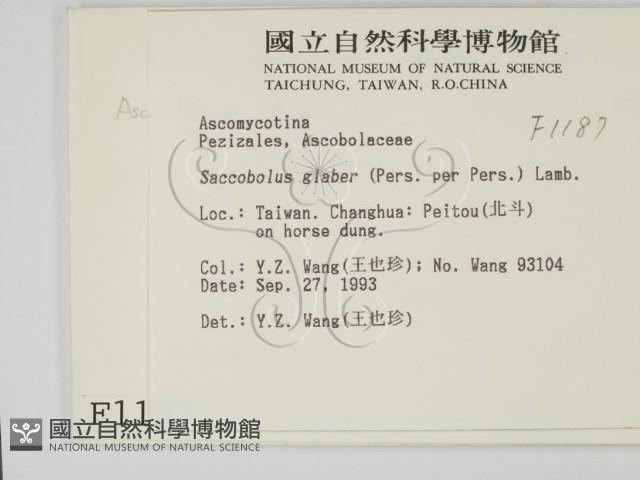登錄號:F0001187藏品圖，第2張