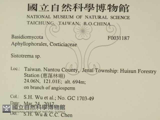 登錄號:F0031187藏品圖，第2張