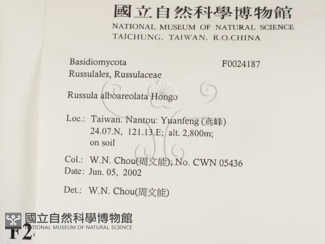 登錄號:F0024187藏品圖，第2張