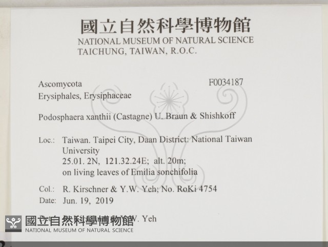 登錄號:F0034187藏品圖，第2張
