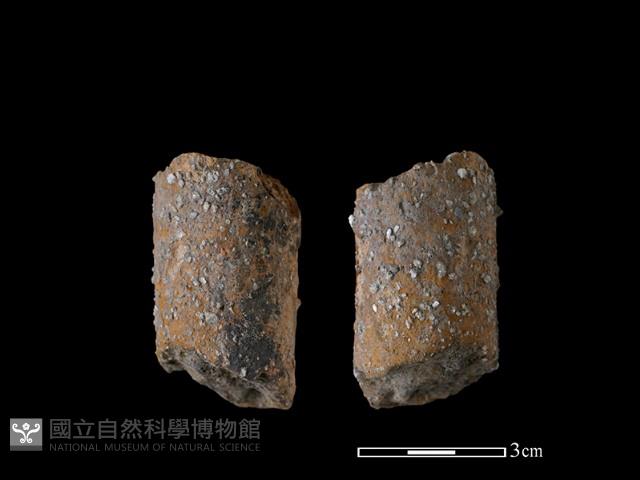 鼎足藏品圖，第1張