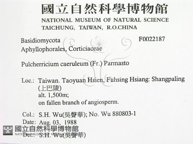 登錄號:F0022187藏品圖，第2張