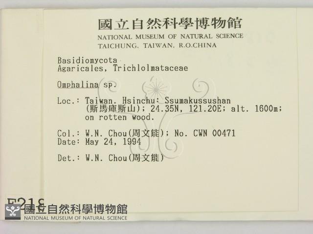 登錄號:F0002187藏品圖，第2張