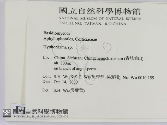 絲皮菌屬藏品圖，第2張