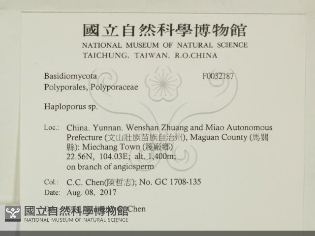 登錄號:F0032187藏品圖，第2張