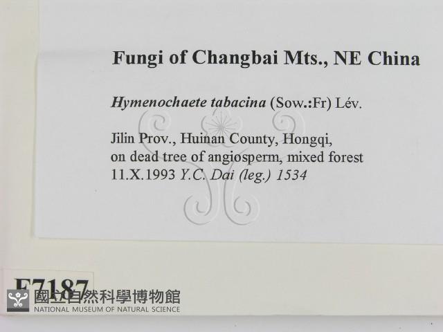 登錄號:F0007187藏品圖，第2張