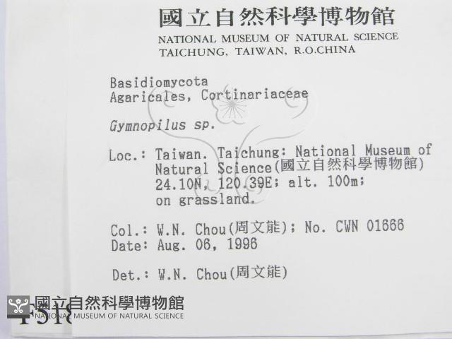 登錄號:F0005187藏品圖，第2張