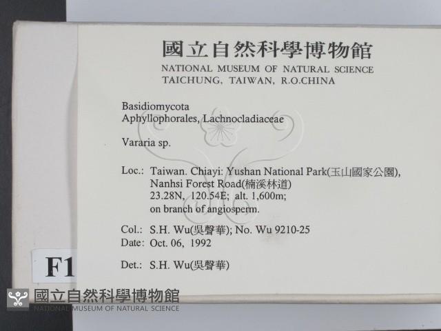 登錄號:F0015187藏品圖，第2張