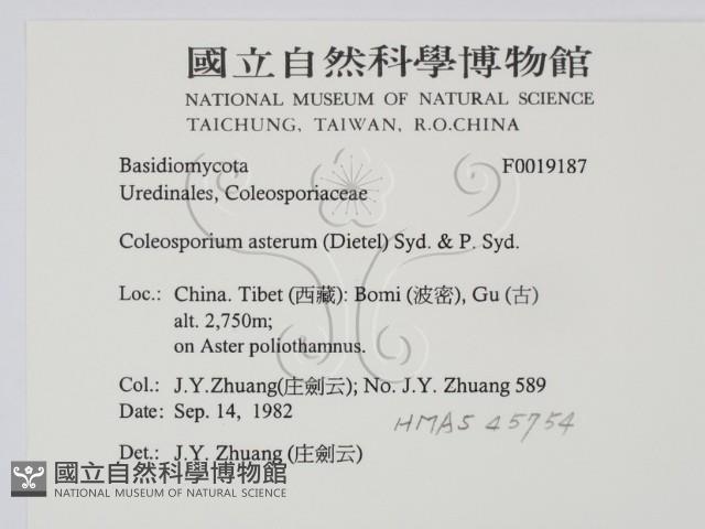登錄號:F0019187藏品圖，第2張