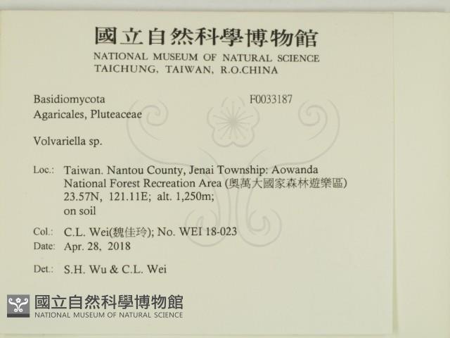 登錄號:F0033187藏品圖，第2張