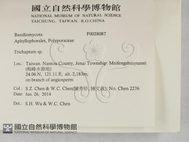 附毛菌屬藏品圖，第2張