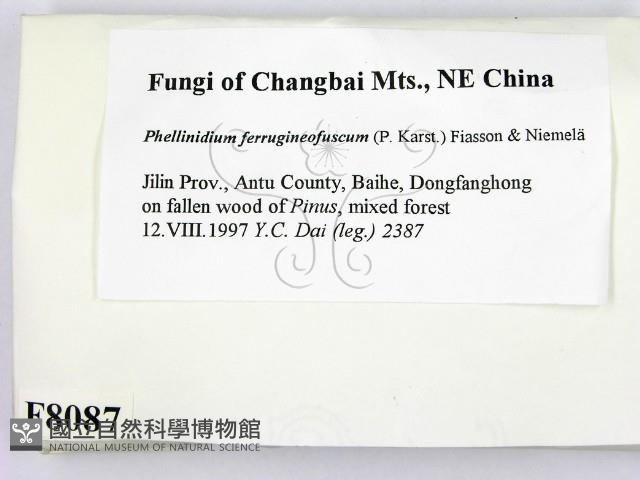 登錄號:F0008087藏品圖，第2張