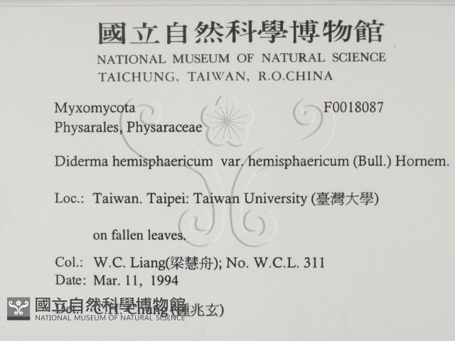 登錄號:F0018087藏品圖，第2張