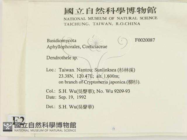 登錄號:F0020087藏品圖，第2張