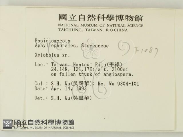 登錄號:F0001087藏品圖，第2張