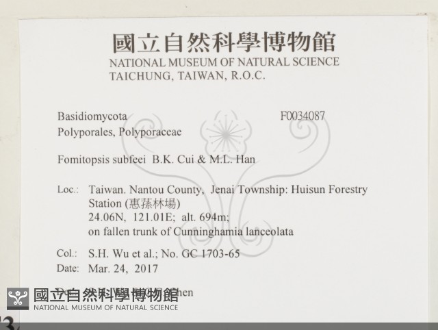登錄號:F0034087藏品圖，第2張