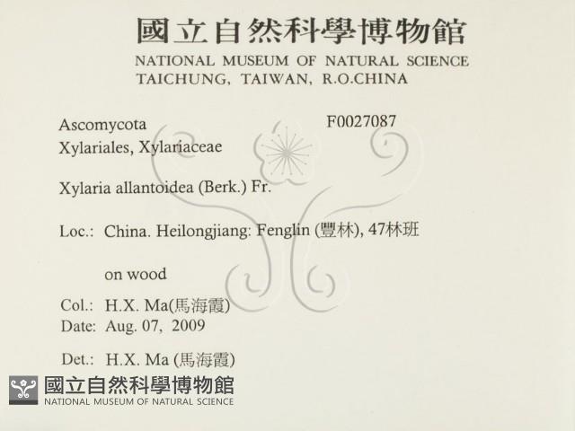 登錄號:F0027087藏品圖，第2張