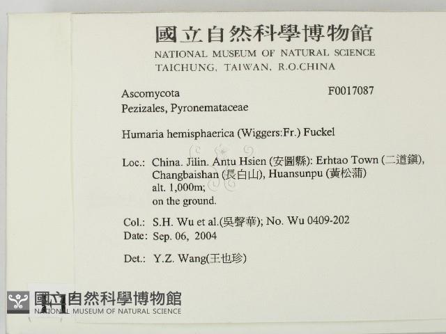 登錄號:F0017087藏品圖，第2張