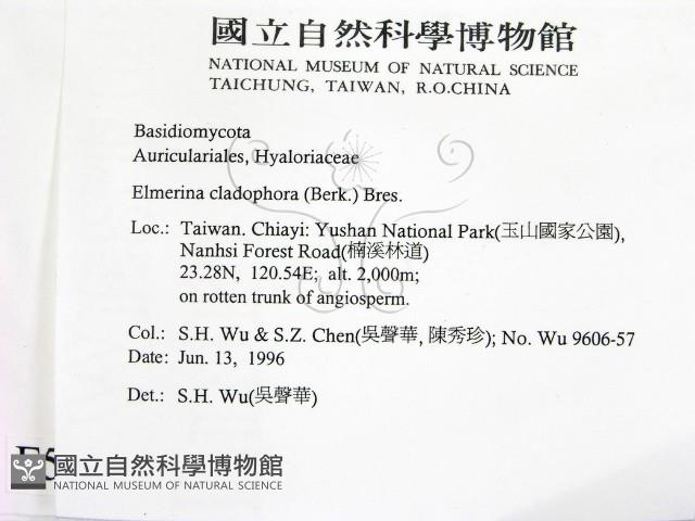 登錄號:F0005087藏品圖，第2張