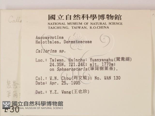 登錄號:F0003087藏品圖，第2張