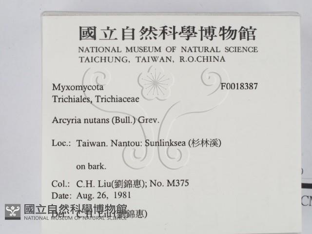 登錄號:F0018387藏品圖，第2張